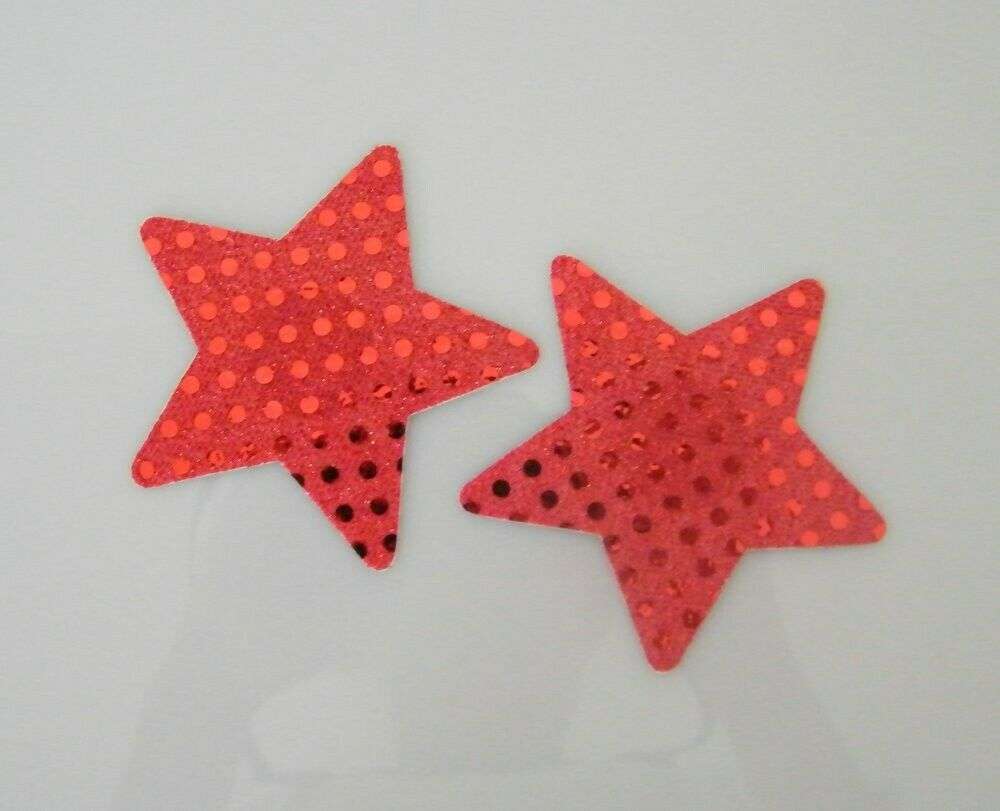 Sequin Look Pasties