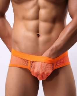 Men's Mesh Fishnet Briefs With Stretch Pouch