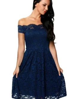 Plus Size Off The Shoulder Lace Fashion Dress